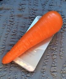 no brand | LOFTのワゴンセールで購入。面白いけど、重いし、デカいし邪魔！(福袋/福箱)