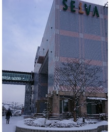 仙台の今日 | その他