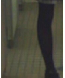 写真ぼけぼけ | その他