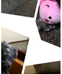 マザーグース | その他