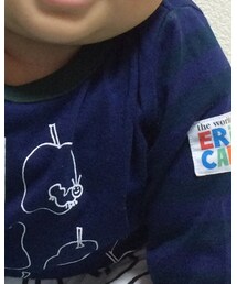 はらぺこあおむし | Tシャツ/カットソー