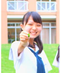 四つ葉のクローバー | その他