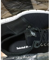 Timberland | スニーカー