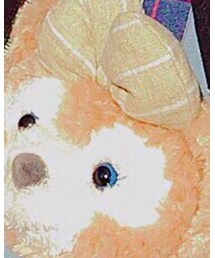 TOKYO DISNEY SEA | パスポートケース