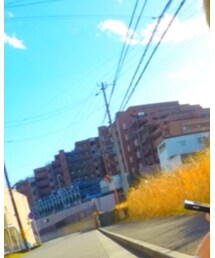 Ron Herman | カーディガン/ボレロ