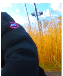 CHANEL | ピアス（両耳用）