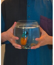 ベタ | ペットウェア