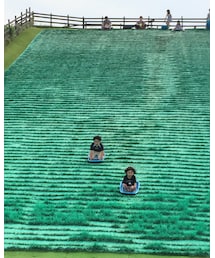 芝そり | その他