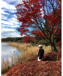紅葉 | その他