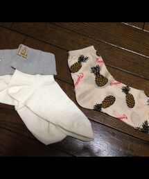 靴下屋 | ソックス(ソックス/靴下)