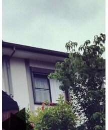 SHIPS | ニットキャップ/ビーニー