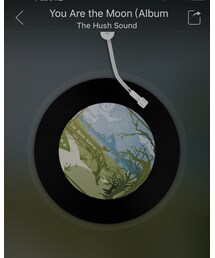 The Hush Sound | (レコード)