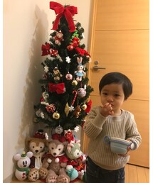 ☆ | 今年は息子が飾り付けてくれました☆(その他)