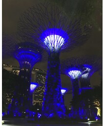 ★夜 | その他