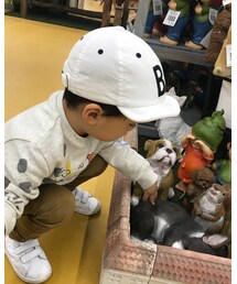 ☆ | その他