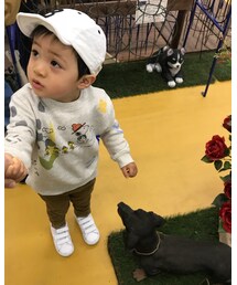 ☆ | その他