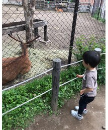 ☆ | その他