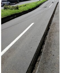 家の前の道 | その他