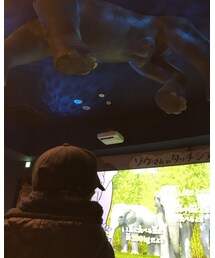 🐘 | その他