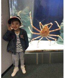 🦀 | その他