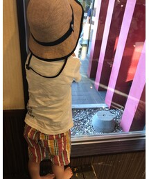 ☆ | その他
