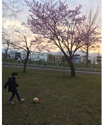 ☆ | その他