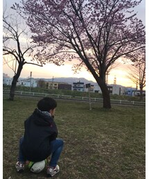 ☆ | その他