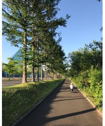 ☆ | その他