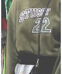 STUSSY | スウェット