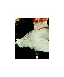 abcd | ネックウォーマー/スヌード