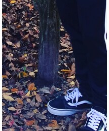 VANS | スニーカー