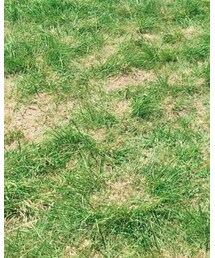 MARC JACOBS | アナログ腕時計