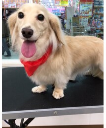 シャンプー後♡ | その他