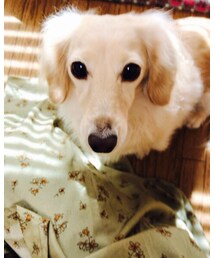 クゥちゃん♡ | その他