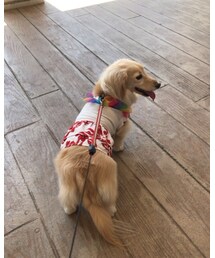 クゥちゃん♡ | その他