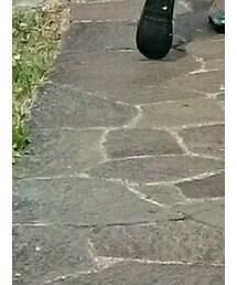 しまむら | シューズ