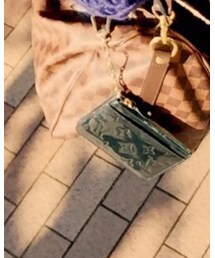 LOUIS VUITTON | パスケース