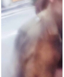 GALLARDAGALANTE | ミリタリージャケット