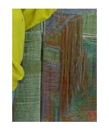 Champion | スウェット