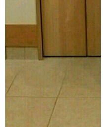 ダニエラジェマ | パンプス