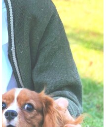 POLO RALPH LAUREN | ポロシャツ