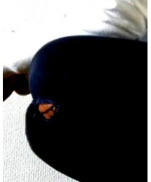 D&G | パンツ