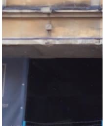 MAX PITTION | サングラス