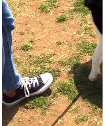 CONVERSE | スニーカー