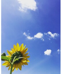 夏空や〜 | その他