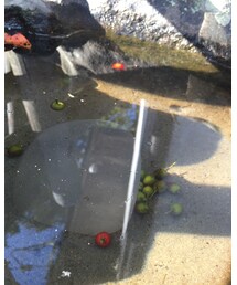 ガラスの石 | その他