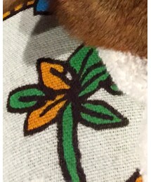 チチカカ | ラグ/マット