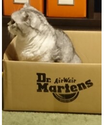 お届けもの。 | その他