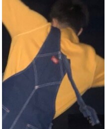 Dickies | サロペット/オーバーオール