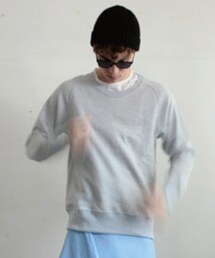 DIGAWEL | DIGAWEL 【ディガウェル】RAGLAN SWEAT(スウェット)